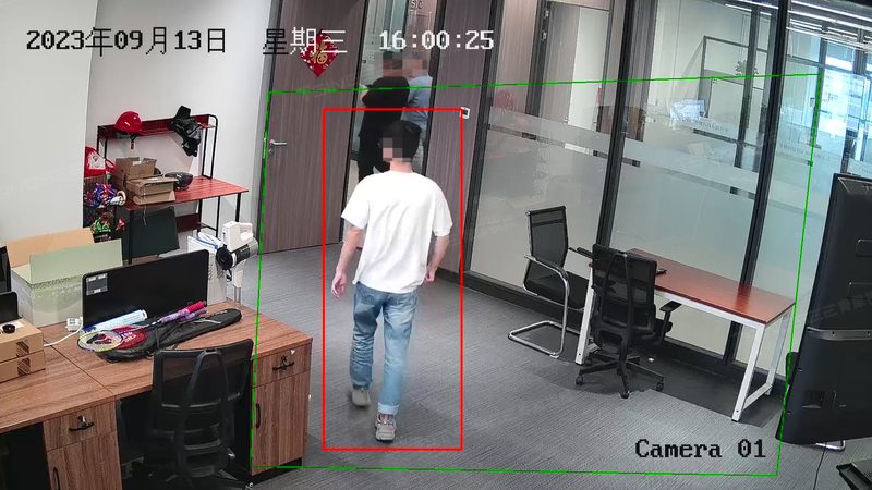网络摄像机OEM：揭秘定制化安防解决方案的幕后力量**